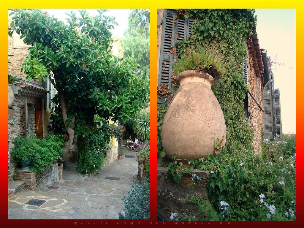 183 D23 BORMES LES MIMOSAS 1_000052.jpg